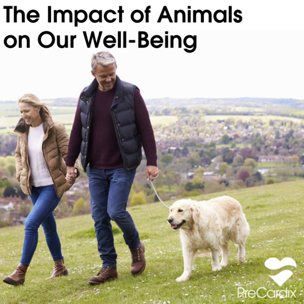 Husband and wife happily walking their dog on a foggy day, showcasing the joy of pet companionship in any weather.