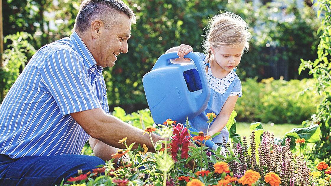 Heart Health Supplement - A father and daughter watering plants together outdoors, symbolizing healthy lifestyle choices.