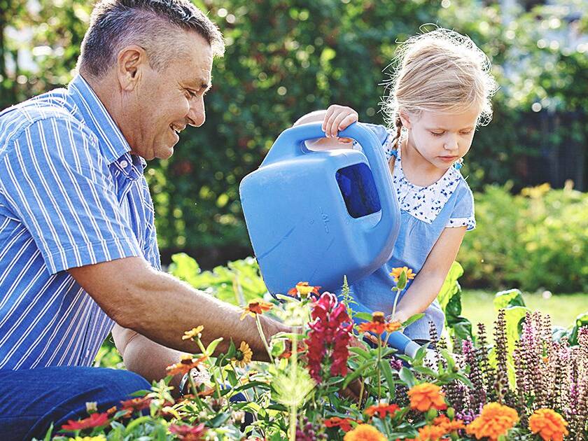 Heart Health Supplement - A father and daughter watering plants together outdoors, symbolizing healthy lifestyle choices.