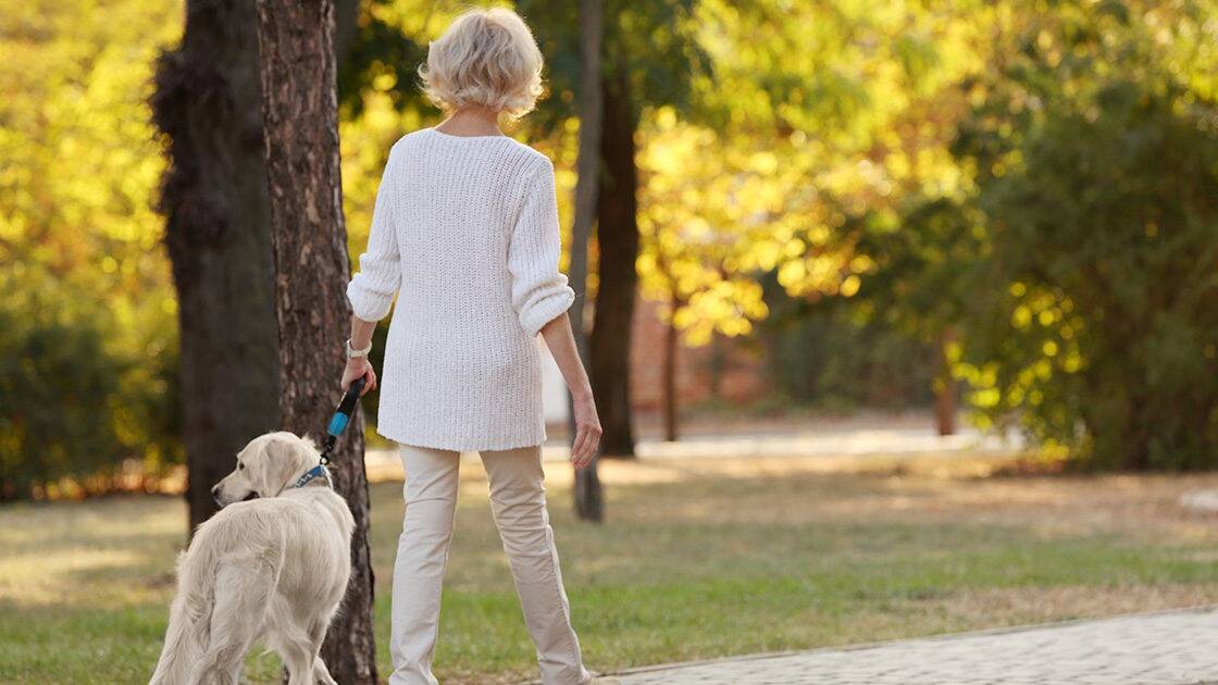 Antioxidants and Oxidative Stress: A woman and her dog walking away from the camera in a park during daytime, basked in sunlight.
