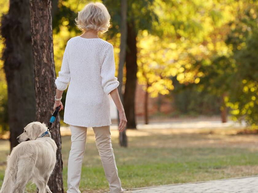 Antioxidants and Oxidative Stress: A woman and her dog walking away from the camera in a park during daytime, basked in sunlight.