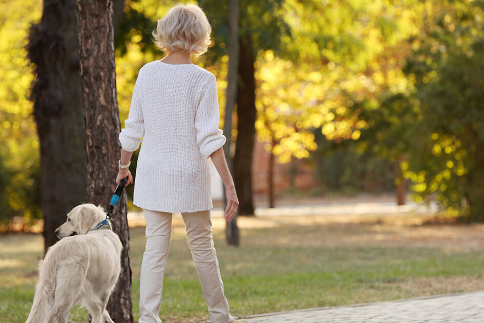 Antioxidants and Oxidative Stress: A woman and her dog walking away from the camera in a park during daytime, basked in sunlight.