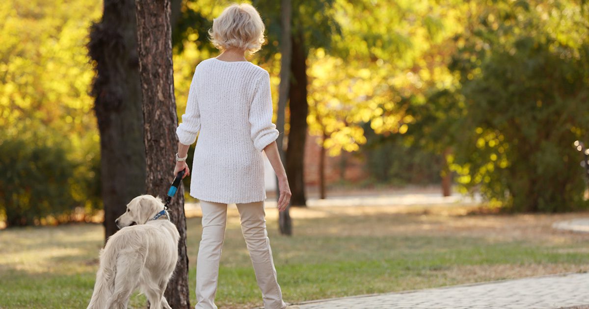 Antioxidants and Oxidative Stress: A woman and her dog walking away from the camera in a park during daytime, basked in sunlight.