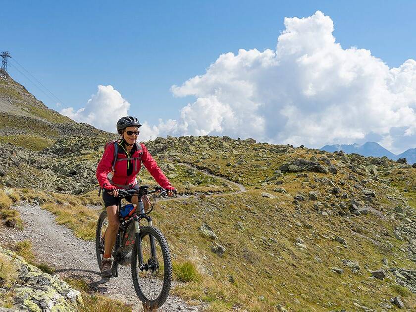 Seasonal Heart Wellness